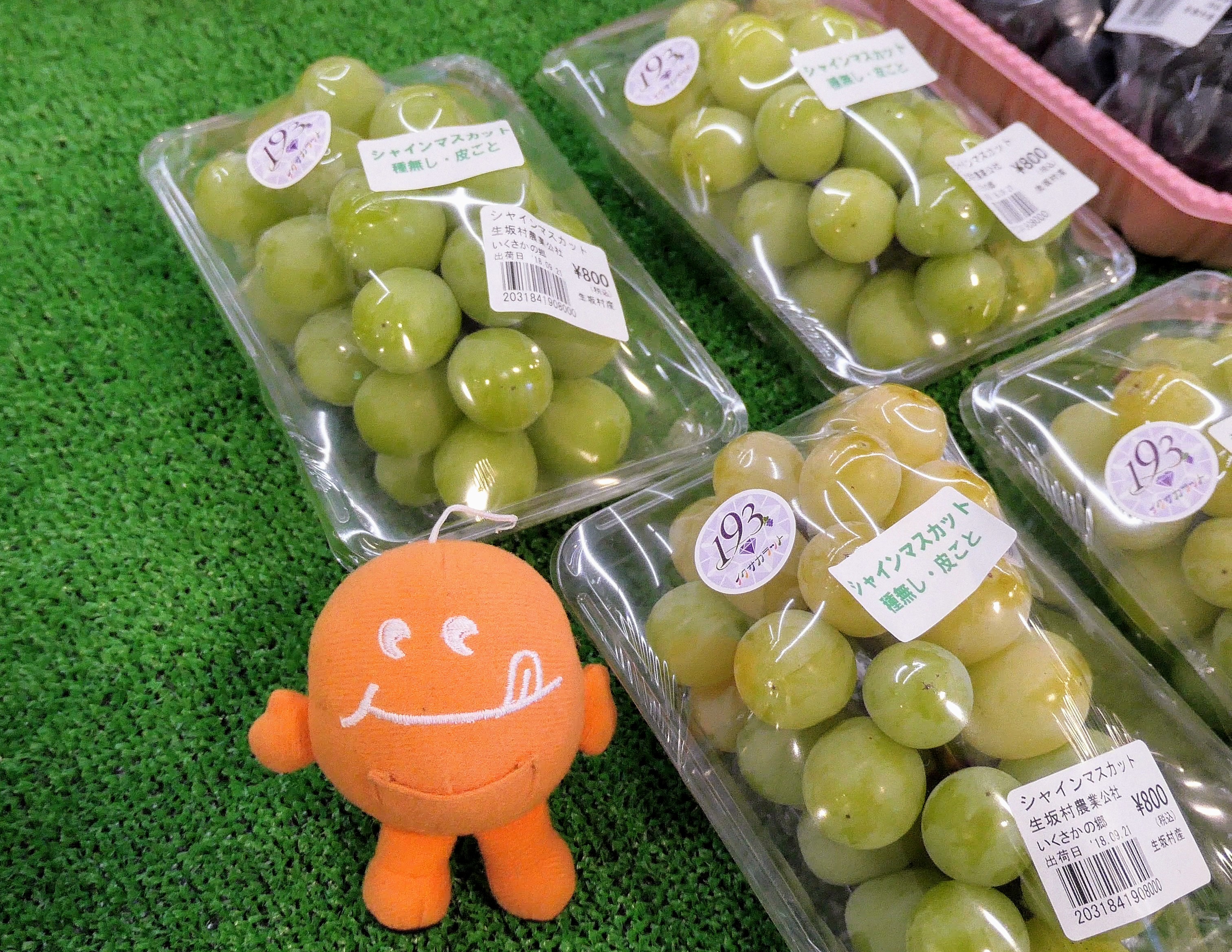 生坂村の活性化施設 いくさかの郷 がオープンしました 農産物マーケティング室からのお知らせ おいしい信州ふーどネット 生坂村の活性化施設 いくさかの郷 がオープンしました 農産物マーケティング室からのお知らせ おいしい信州ふーどネット