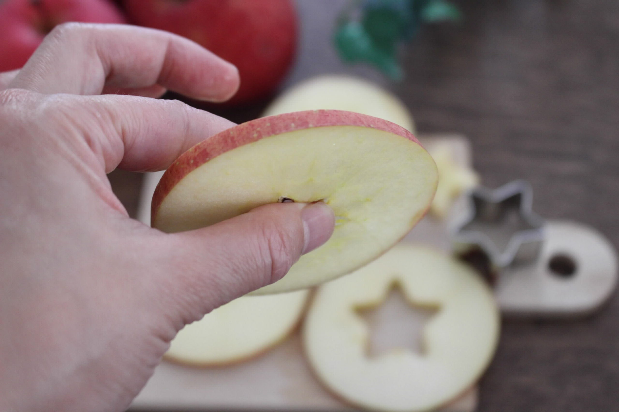 旬のリンゴを食べよう 旬の情報 おいしい信州ふーどネット