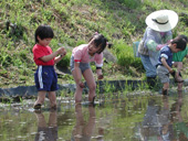 農家民宿