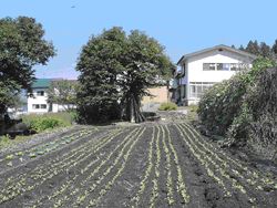 民宿　北竜湖マジマ荘