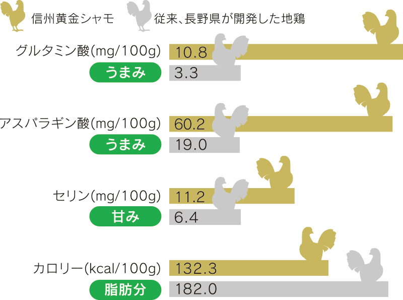 信州黄金シャモと従来、長野県が開発した地鶏の比較