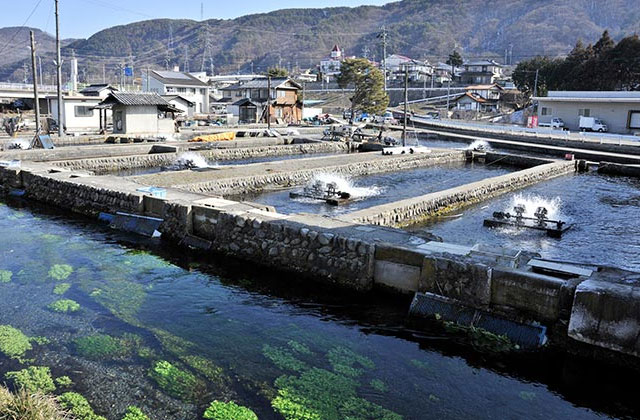 長野県水産試験場