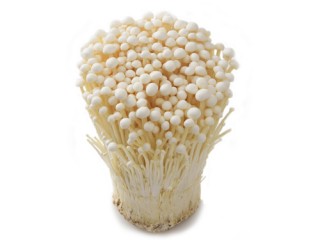 えのきたけページ o_025_01-320x240.jpg