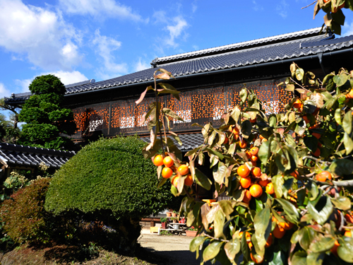 市田柿