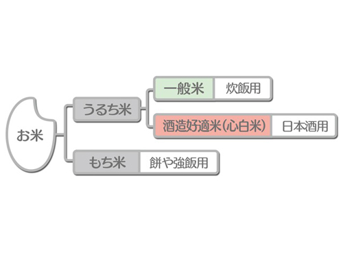 醸造用玄米