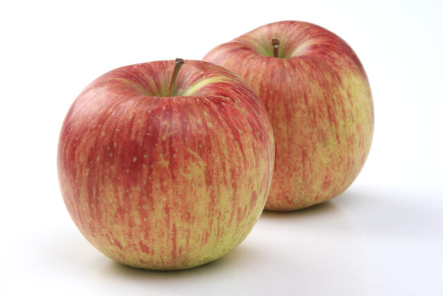 色は淡いが甘みは濃い！りんご「つがる」の出荷が始まりました！
