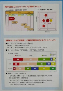 シナノリップチラシ2