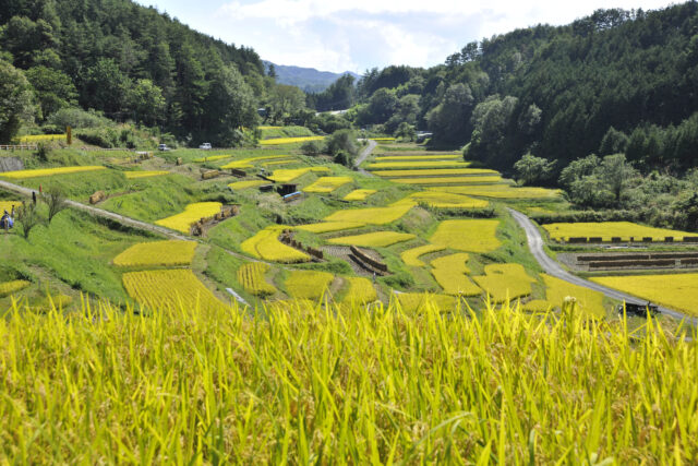 　11月1日（木）に「長野県原産地呼称管理制度」お米の官能審査委員会が開催されました！