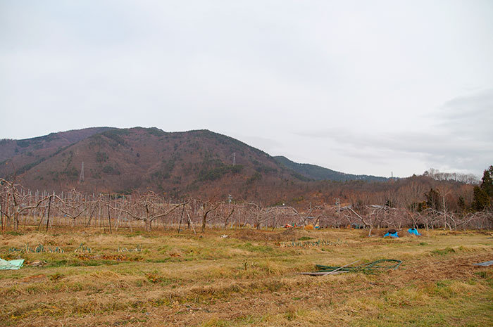 山口大根の会