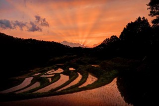 夕日が映える”よこね田んぼ”