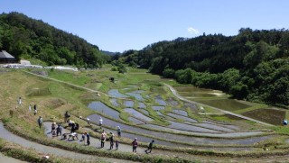 田植えの風景