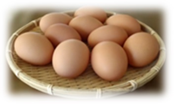 小布施町の自然卵「おぶせのたまご」