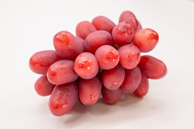 0748c1026210b69bcf3f6f4494dbb5