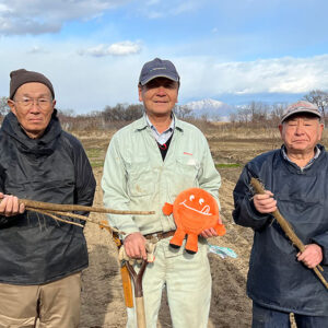 生でも食べられる「村山早生牛蒡」は、白さと柔らかさが特徴