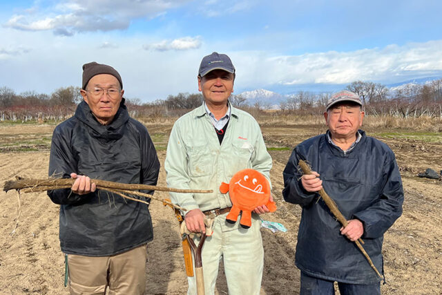 生でも食べられる「村山早生牛蒡」は、白さと柔らかさが特徴