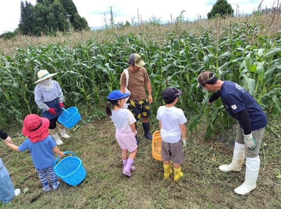 「夏休み！信濃町で旬のとうもろこし収穫体験＆ジェラートを食べよう」を開催しました！